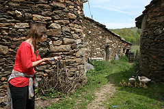 IMG_8236.JPG