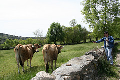 IMG_8205.JPG